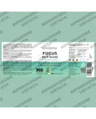 Fucus Kelp Algae 225mcg - 365 Compresse